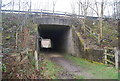 Tunnel under A21 in TN13 2LA