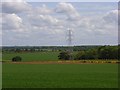 Farmland and pylon, Kimpton in SP11 9JX
