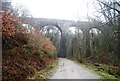 West Devon Way Viaduct in PL6 7FH