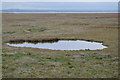 Pond, Swale Nature Reserve in ME12 4BS