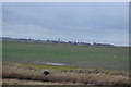 Farmland on the Isle of Sheppey in ME12 4BS