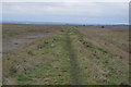 Footpath, Swale Nature Reserve in ME12 4BS