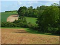 Farmland and woods, Shipton Bellinger in SP9 7YQ