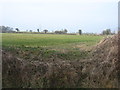 Farmland near Mulbarton in NR15 1QB