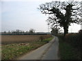 The lane to Newton Flotman in NR15 1QH