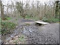 Oxleas Wood, footbridge in SE18 3HP