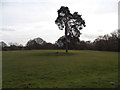 Redhill and Reigate Golf Course in RH2 7QA