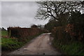 Mid Devon : Country Lane in EX16 8LD