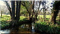 Brook at Whitehouse Lane ford, 1 in HR9 7BJ