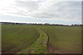 The remains of a field boundary in TF11 9PN