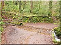 Footbridge and ford, Hawknest Combe in TA24 8PE