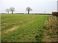 Farmland near Wymondham College in Morley St Botolph