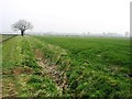 Farmland near Deopham in NR18 9TW