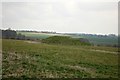 Tumulus, Overton Hill in SN8 1QD