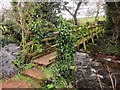 Footbridge, West Luccombe in TA24 8HB