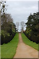 Avenue to Montacute House in TA15 6SH