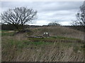 Marker stone in farmland off Grimeford Lane in BL6 5LH