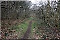 Path in Elkesley Wood in DN22 8BT