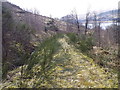 Looking down track on south side of Loch Tay in PH15 2NX