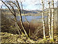 Loch Tay from lochside track in PH15 2NX