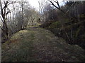 Track uphill by Loch Tay in PH15 2NX