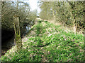 Track to Hardley Flood in Loddon & Chedgrave Ward