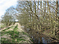 Track between two drainage ditches in Loddon & Chedgrave Ward