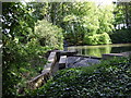 Pond at Bucksburn House in AB16 7RH