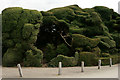 Topiary at Audley End House in CB11 4JG
