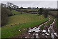 Mid Devon : Muddy Track in EX16 8BN