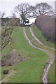 Mid Devon : Country Track in EX16 8BN