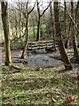 Footbridge over Totley Brook in S17 4HL