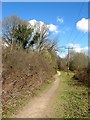 Permissive Footpath, Pierce's Wood in RH16 4WQ