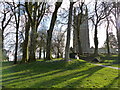 Church and trees in Holsworthy on a sunny morning in EX22 6ED
