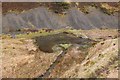 Pond on the Walker Burn in EH43 6AN
