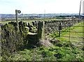 Stile on Elland FP118 at Bilberry Hall Lane in HX4 8PH