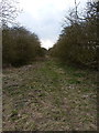 Along the old railway in LE17 6AQ