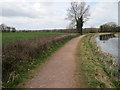 Grand Western Canal - branching point in EX16 7JQ