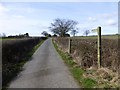 Public bridleway to Pigdon in NE61 3JW