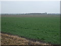 Farmland off Hundreds Road in PE6 0LG