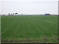 Farmland west of Peterborough Road in PE6 0GA