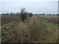 Overgrown drain off the A16 in PE6 0LS
