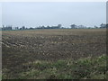 Stubble field off the A16 in PE6 0LS
