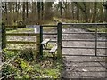 Stile and Gate on Path into Gibson Wood in Poynton West and Adlington Ward