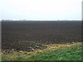 Farmland off Cox's Drove in PE6 0ND