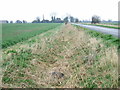 Dry drain beside Cox's Drove in PE6 0NE