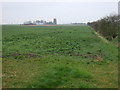 Crop field off Whale Drove in PE6 0LR