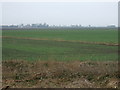 Crop field off Old South Eau Bank in PE6 0PH