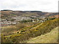 View over the gorse above the Rhondda Fawr valley in CF41 7QR
