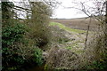 Small Brook at Far Longdon in CV36 4PL